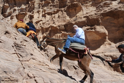 Mule rides up to Monastery